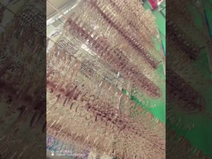 Titanyum Alaşım Gözlük çerçeveleri PVD kaplama makinesi