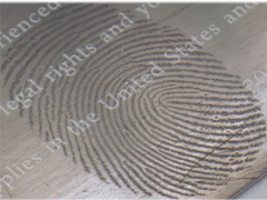 Yüksek vakum metalleme sistemi, parmak izi izleri görüntüleme için termal buharlaşma kaplama ünitesi